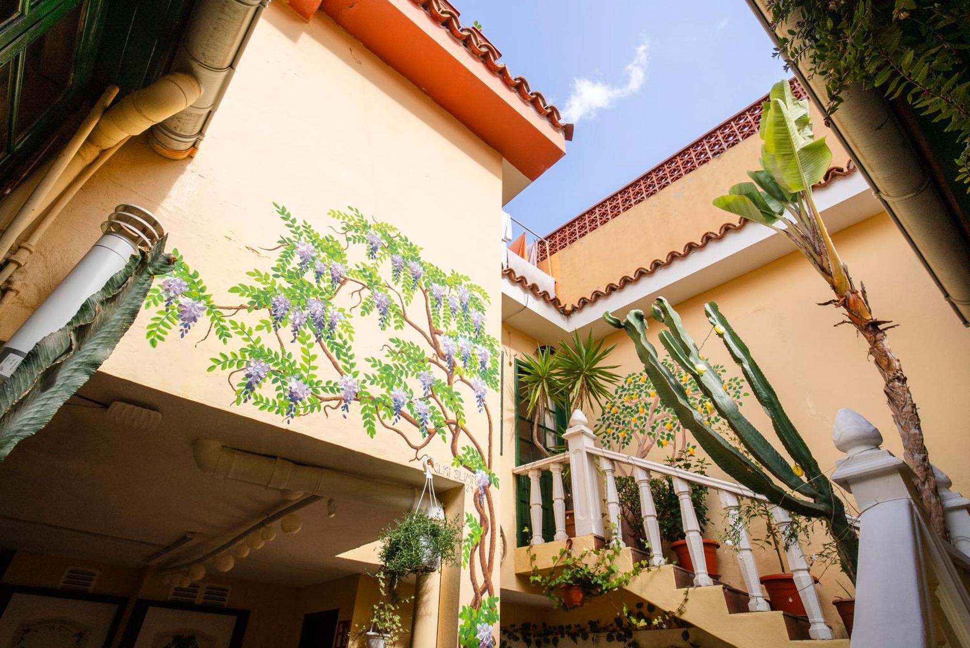 Hostel Tenerife Ля Оротава Экстерьер фото